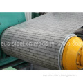 Printed and Color-Coated Steel Coil/Color Steel Coil